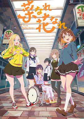 渠道运营需要seo吗